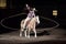 National Western Stock Show - Jerry Diaz