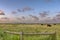 National Wildlife Trust Cley Marshes