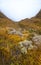 Native alpine tundra vegetation and grassland of Southern Alps, hazy mountains and high altitude flora, New Zealand