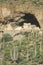 Native American cliff dwellings, circa 1400 AD, Tonto National Monument, Roosevelt Lake, AZ