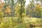 Native American Effigy Mound in Fall