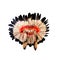 Native american indian chief headdress