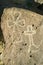 Native American petroglyphs featuring an image of crosses at Petroglyph National Monument, outside Albuquerque, New Mexico