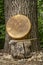 native American style, shaman frame drum covered by goat skin with a beater under an oak tree