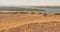 Native archaeological excavation assistants during excavations in the desert on the banks of the Nile River