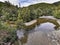 Native bush and river landscape in New Zealand