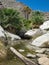 Native California Fan Palms, Borrego Palm Canyon in Anza Borrego Desert State Park of California