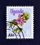 Native Flora Uganda