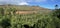 Native forest growing on volcanic soil in New Caledonia