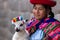 Native Peruvian holding a baby lamb