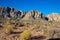 Native plants at dawn in the Mojave Desert of southern Nevada