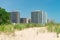 Native Plants on a Sand Dune at an Edgewater Chicago Beach with the Neighborhood Skyline