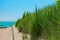 Native Plants on a Sand Dune with Lake Michigan at an Edgewater Chicago Beach