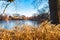 Native Prairie Grass in the Afternoon Sun surrounding North Pond in Lincoln Park Chicago