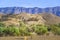 Native vegetation and hills in Flinders Ranges.
