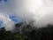 Natives forests in the Hill, Andes Mountains landscape from Las vizcachas, Maule, Chile. Nature photography