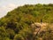 Natives forests in the Hill, Andes Mountains landscape from Las vizcachas, Maule, Chile. Nature photography