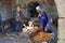 Nativity