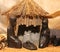 Nativity scene with Holy Family in a manger in Africa