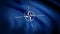 NATO flag. Animation close-up of waving canvas of blue fabric with white symbol in center. Symbol with white four-beam