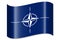 Nato - North Atlantic Treaty Organization - waving flag, shadow