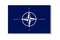 NATO symbol sign united countries military north atlantic teaty organization offical emblem europe nation security save. EPS 10