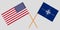 The NATO and United States of America flags