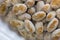 Natto - a popular and healthy Japanese food from fermented beans in a Styrofoam container. Close up and macro shot.