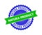 NATURA PRODUCT Bicolor Clean Rosette Template for Watermarks