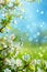 naturak spring background with copy space