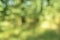 Natural abstract defocused background, green blurred countryside landscape