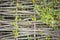 Natural Abstract of Woven Branch Decorative Thatch Work Fence