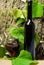 Natural alcoholic beverage without additives. Wine bottle wooden background grape leaves. Winery art concept. Bottle
