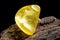 Natural amber. A piece of yellow opaque natural amber on large piece of dark stoned wood.