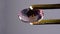 natural ametrine in the tweezers on the background