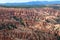 Natural amphitheatre in Bryce Canyon National Park.