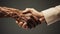 Natural anatomy, high detailed handshake of business partners, success of investment, african and american shaking hands, Working