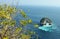 Natural arch, green leaves in foreground on Nusa Penida Island, Bali, Indonesia