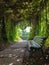 A natural arch with a leafy tunnel and a bench in a public landscaped park