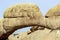 Natural array of bald granite outcrops and stone arch Spitzkoppe, Namibia