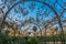 Natural Attraction at Parc del Centre del Poblenou In Barcelona, Spain