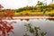 Natural autumn landscape with village view on river shore on natural fall rowan mountain ash tree background