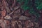 Natural background from brown pieces of wood chips from pine bark for gardening or natural themes. In the right corner are green