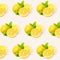 Natural background with citric fruits in seamless pattern