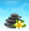 Natural background with frangipani flower (plumeria) and pyramid