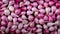 Natural background of fresh onion shallots. A quality product. Healthy eating. Close-up