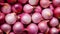 Natural background of fresh onion shallots. A quality product. Healthy eating. Close-up