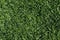 Natural background. Green sheared grass on a lawn.