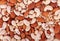 Natural background made from mixed nuts