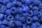 Natural background of many ripe unusual blue fragrant raspberry berries, texture patter, blue raspberries as food background